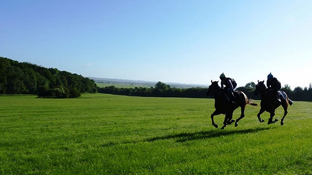 Gallops103 Gallops103