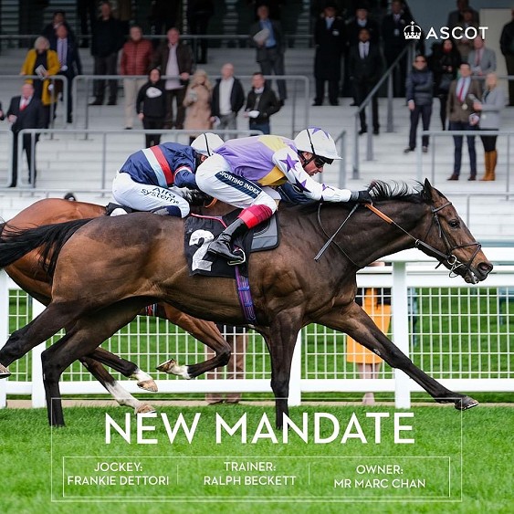 New Mandate, Listed Paradise Stakes (Queen Anne Trial)