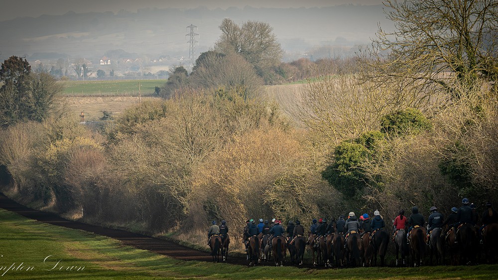 Hedge Gallop