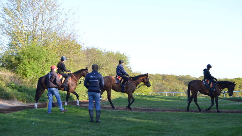 R Beckett racehorses in training