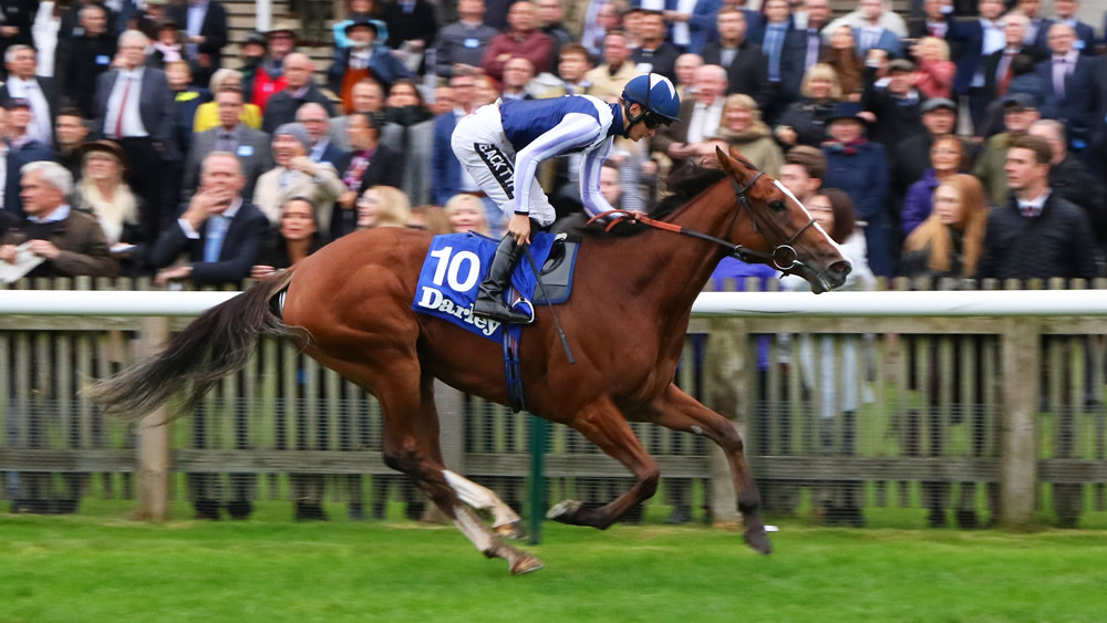 Feliciana de Vega, Group 3 Darley Stakes one of Oct 12 2019 Newmarket 4 timer