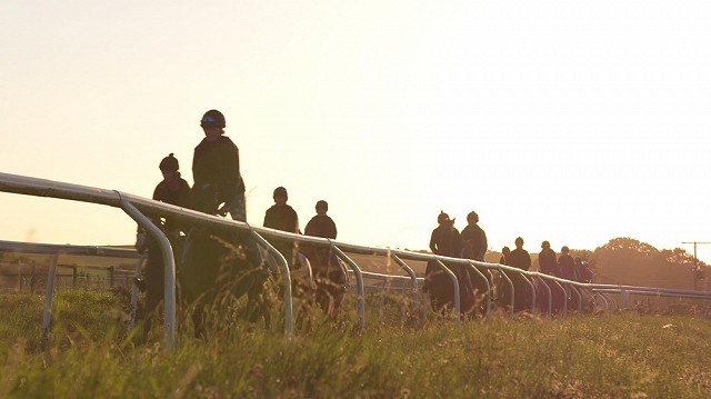 CAMERA 1 TROTTING 2 00015409